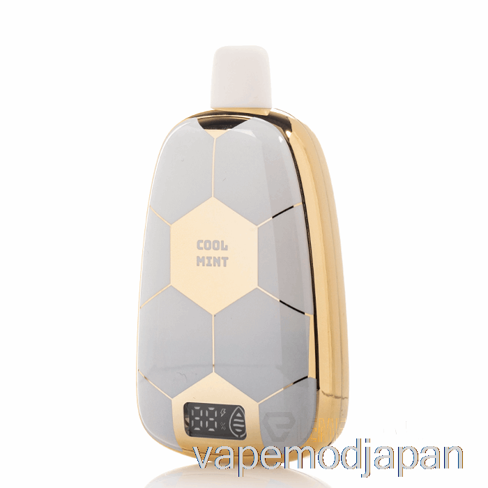 VAPE MOD ロナウジーニョ 10 15K 使い捨て クールミント